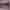 Rare Mags' tweet was shared two thousand times